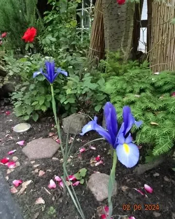 Zum Alten Torfkahn Hotel