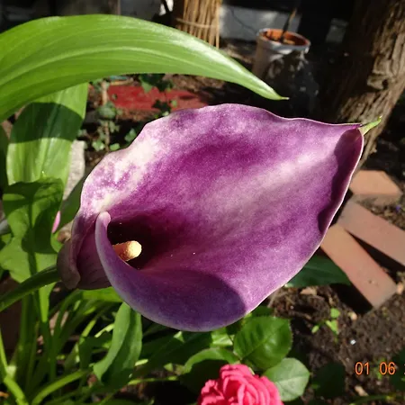 Zum Alten Torfkahn Osterholz-Scharmbeck