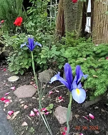 Zum Alten Torfkahn 3*